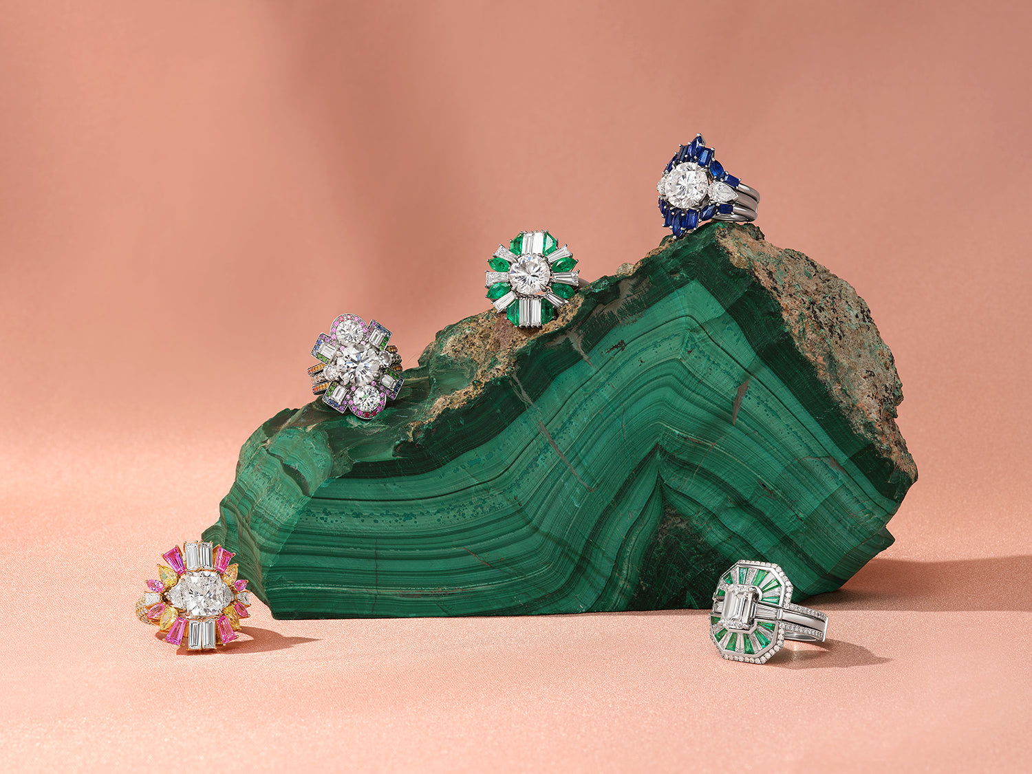 The Art of The Serpentine Ring Jacket