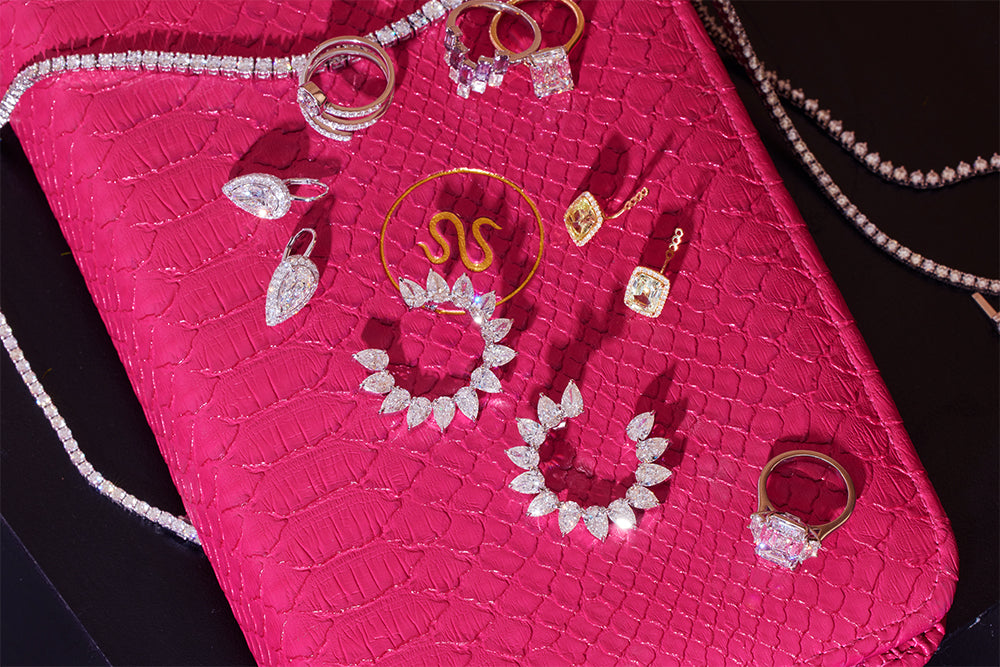 The Serpentine Travel Case