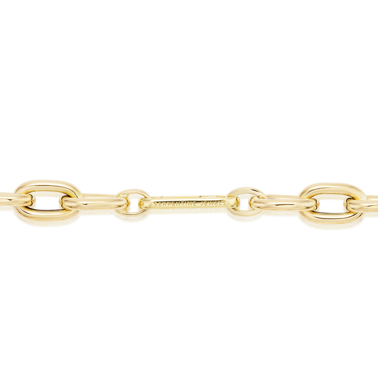Serpentine Signature Chain Necklace
